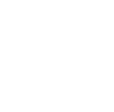 Github Repository